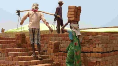 labor rights and fair wages: challenges and progress