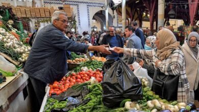 the environmental cost of economic growth in Tunisia